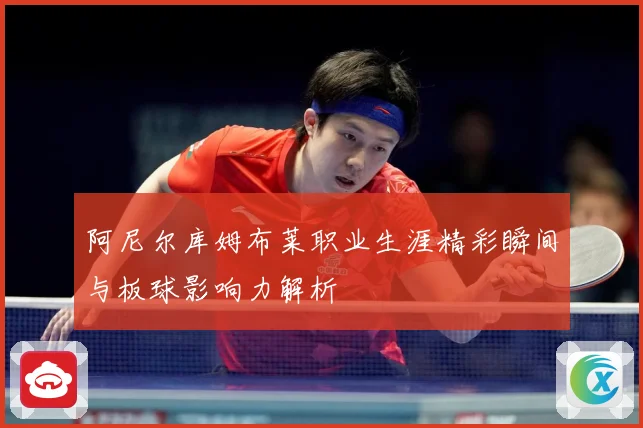 阿尼尔库姆布莱职业生涯精彩瞬间与板球影响力解析